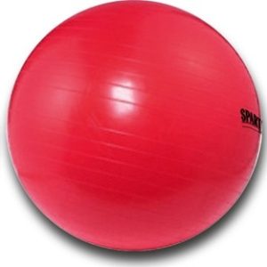 Gymnastický míč Spartan 75 cm